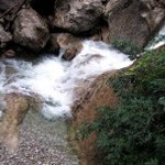 IMG_0032_200x150