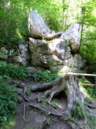 füssen-10-via-claudia-augusta_Kopie