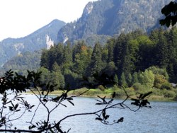 Blick auf Neuschwanstein