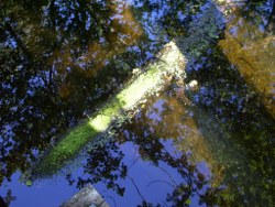 wasserspiegel_250x188