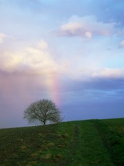 regenbogen_2011_01_08-a_180x240