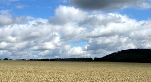 sommerwolken-01_300x164