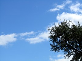 sommerwolken-06_267x200