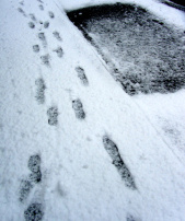 spuren-im-schnee_Kopie